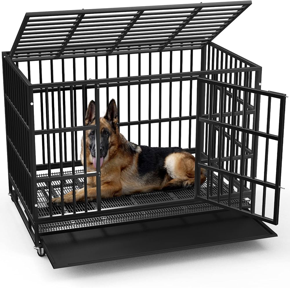 large dog.crate