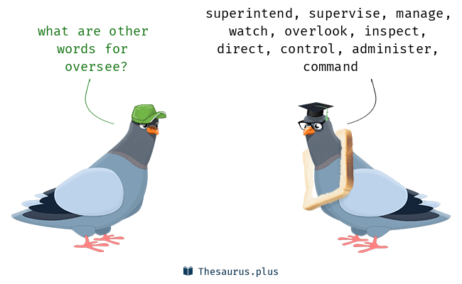 oversee thesaurus