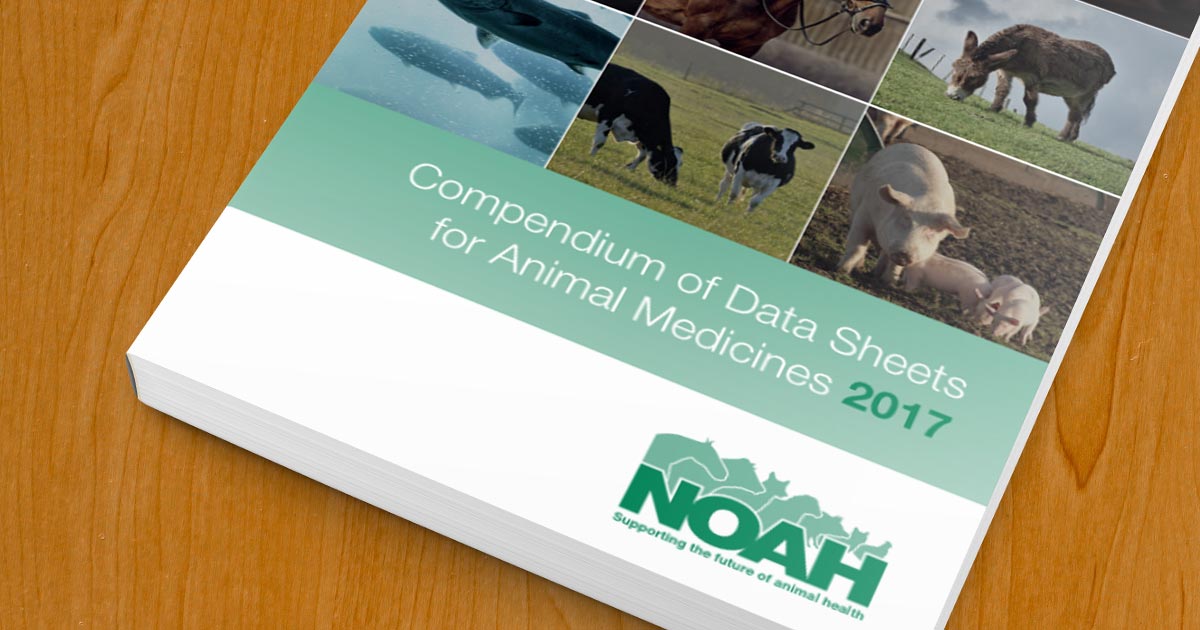 noah compendium