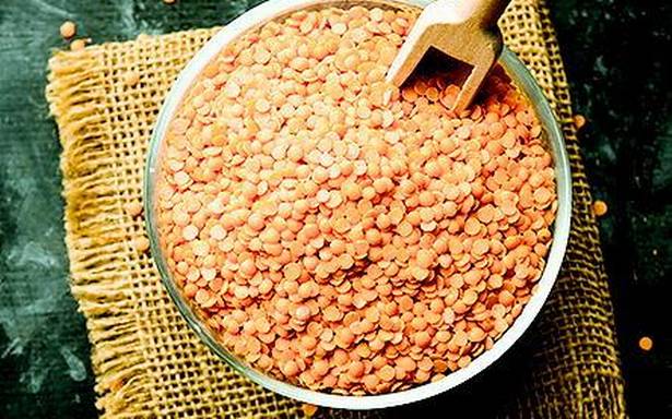 how much protein in masoor dal