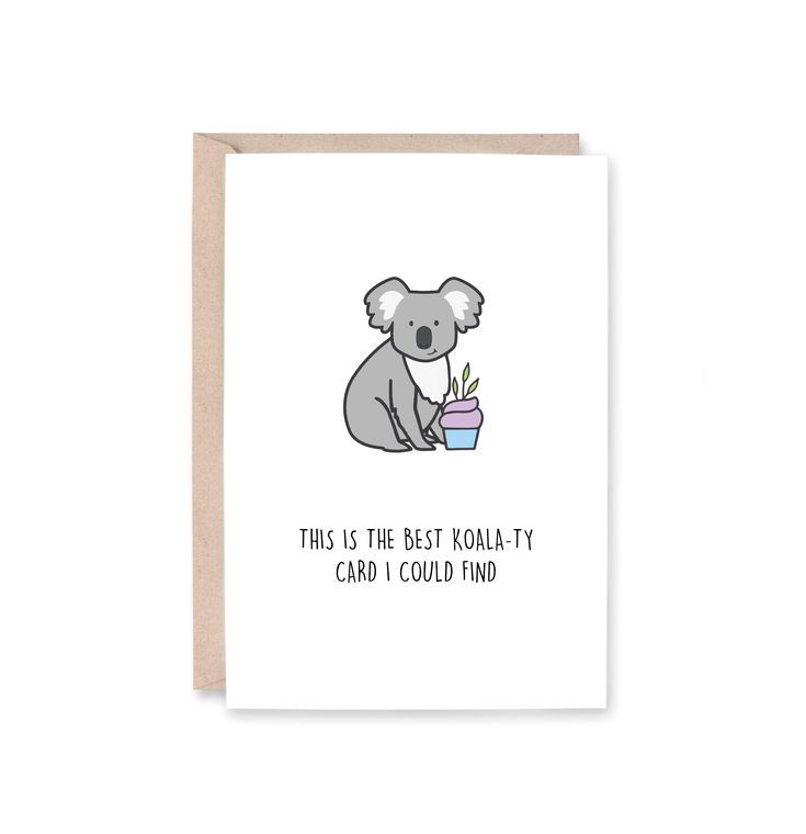 koala puns