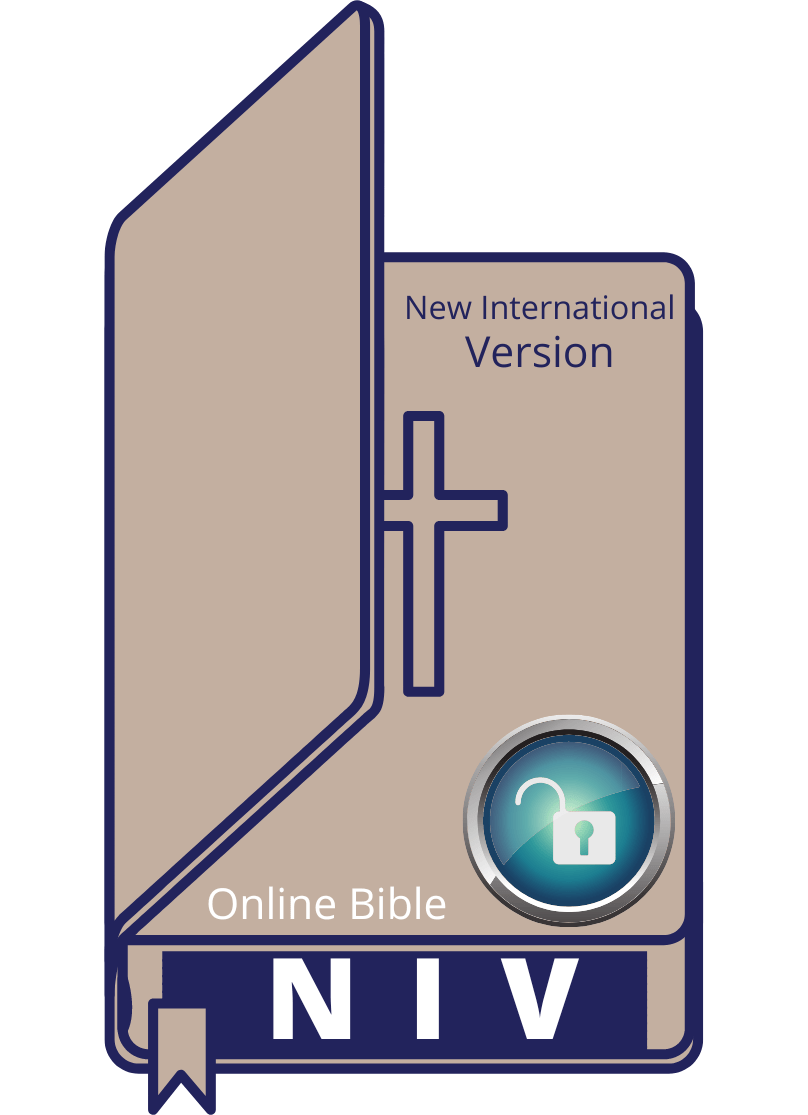 new international version bible online