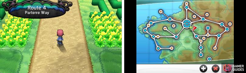 pokemon y route 4