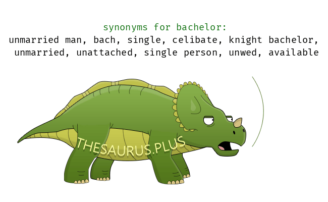 bachelor synonym