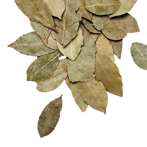 bay leaves 1 kg price