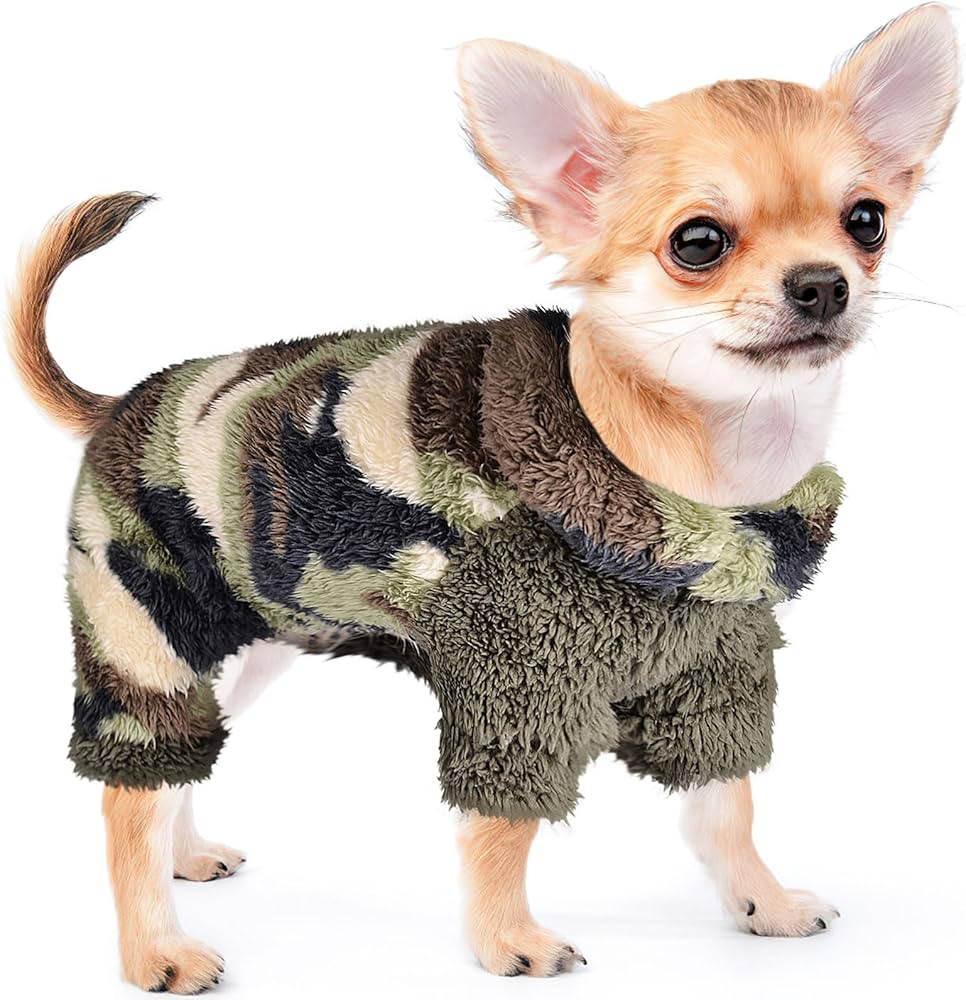 chihuahua dog clothes