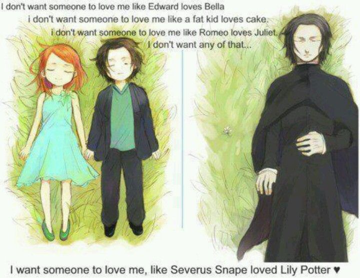 did snape love harry