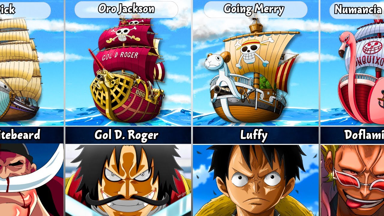 luffy ship name