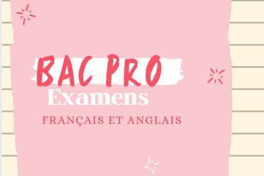 bac pro francais 2023 sujet