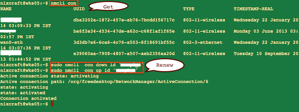 debian renew dhcp lease