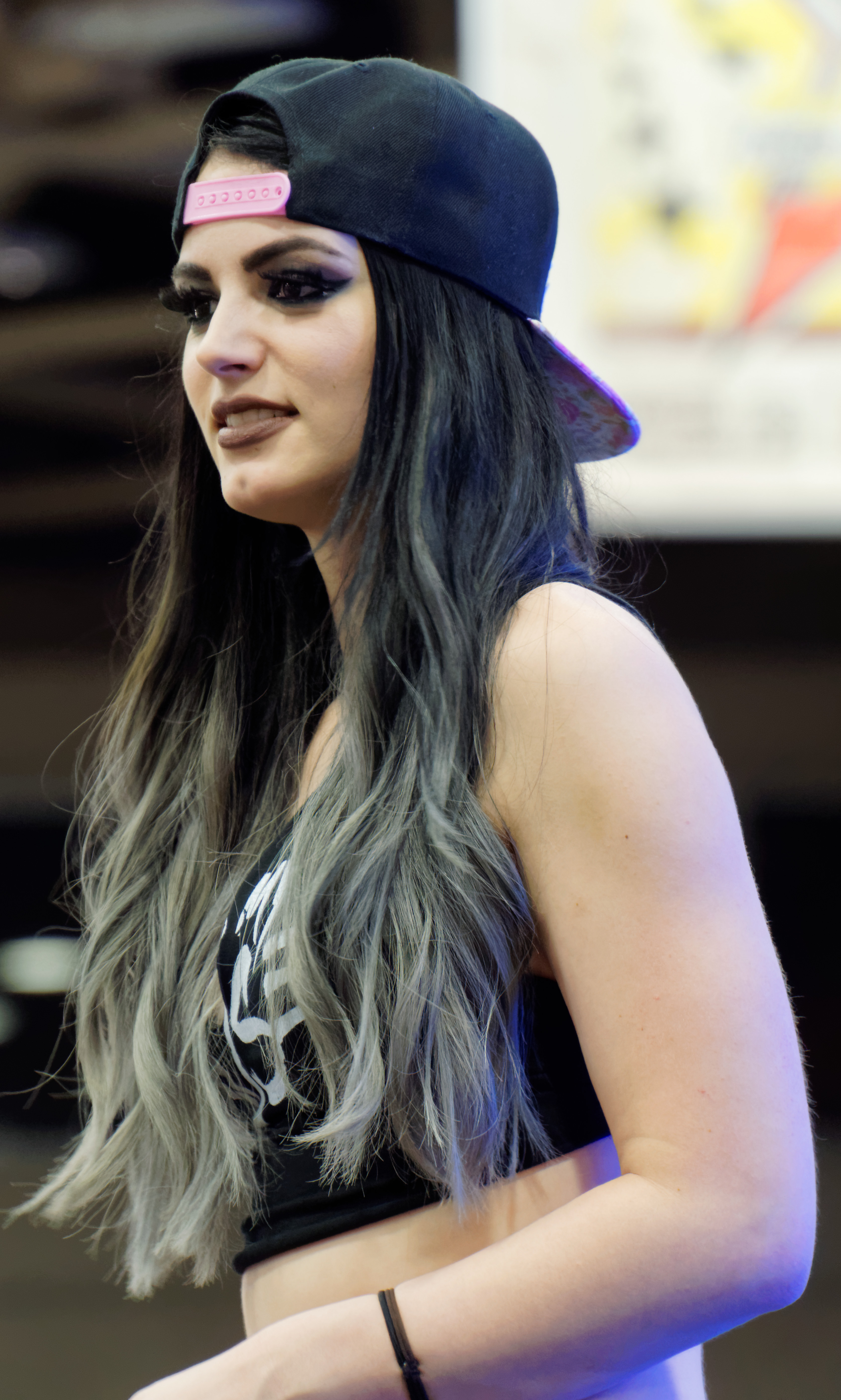 wwe paige