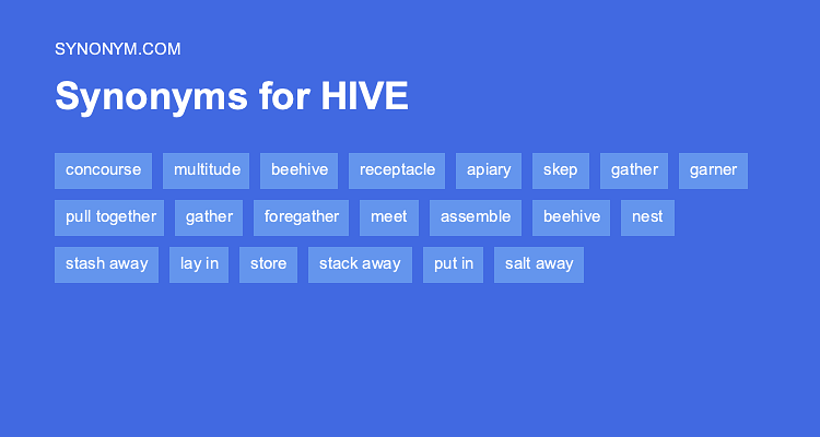 beehive synonym