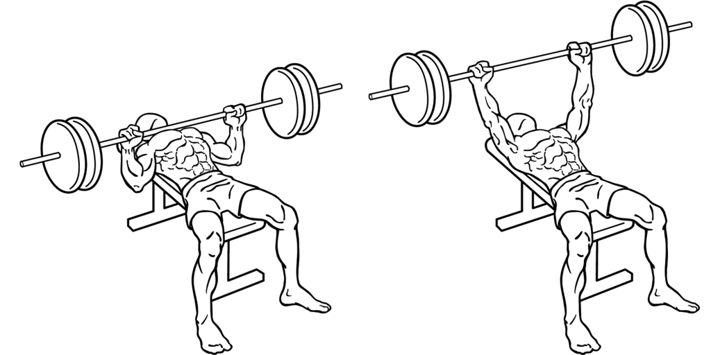 bench press wiki