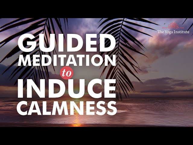 best guided meditation youtube