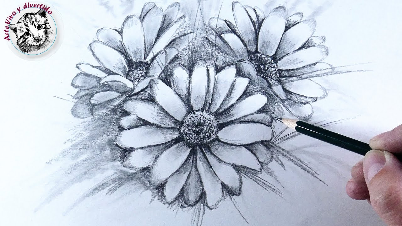 dibujar flores realistas