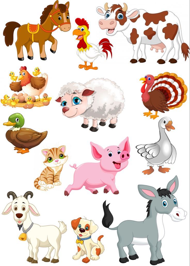 dibujos animales de granja