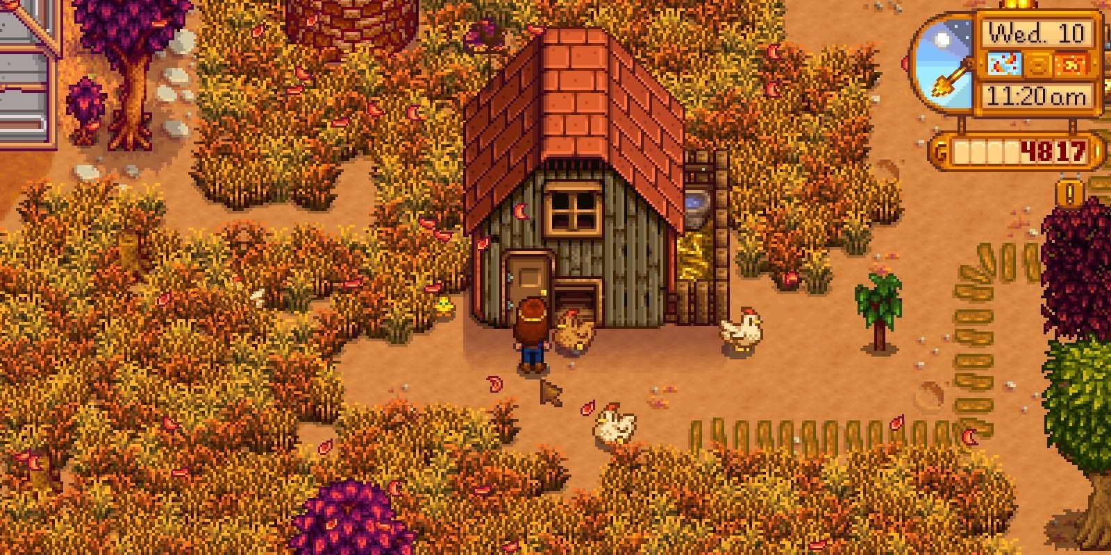 big coop stardew