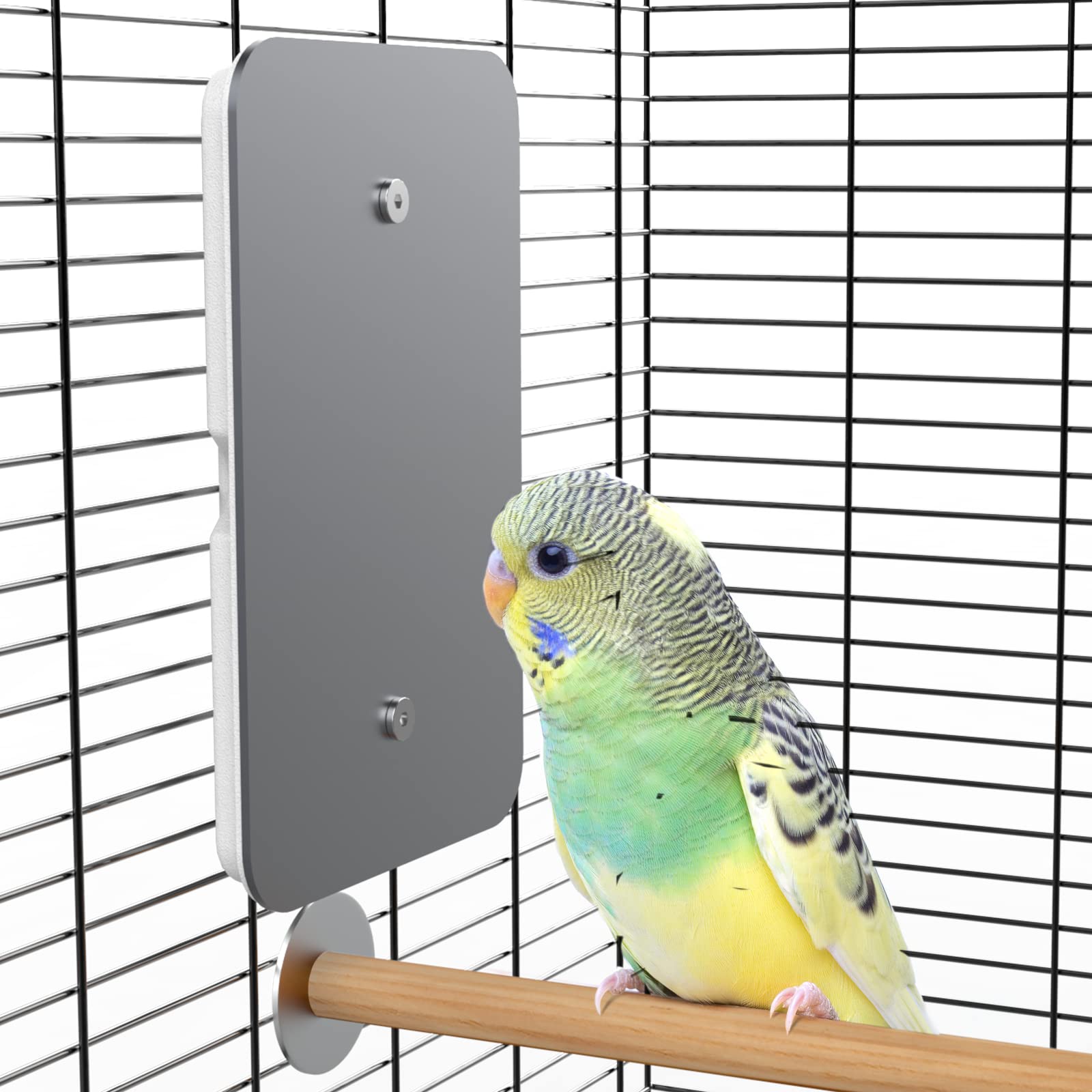 bird heater for cage