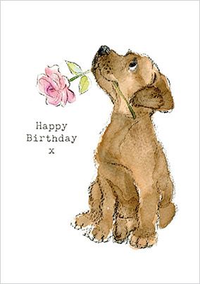 birthday cards for dog lovers