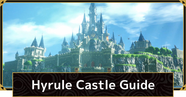 botw hyrule castle