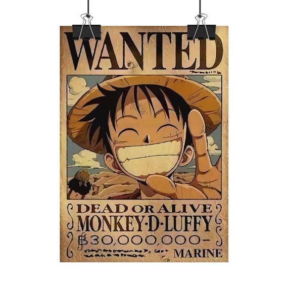 bounty of luffy