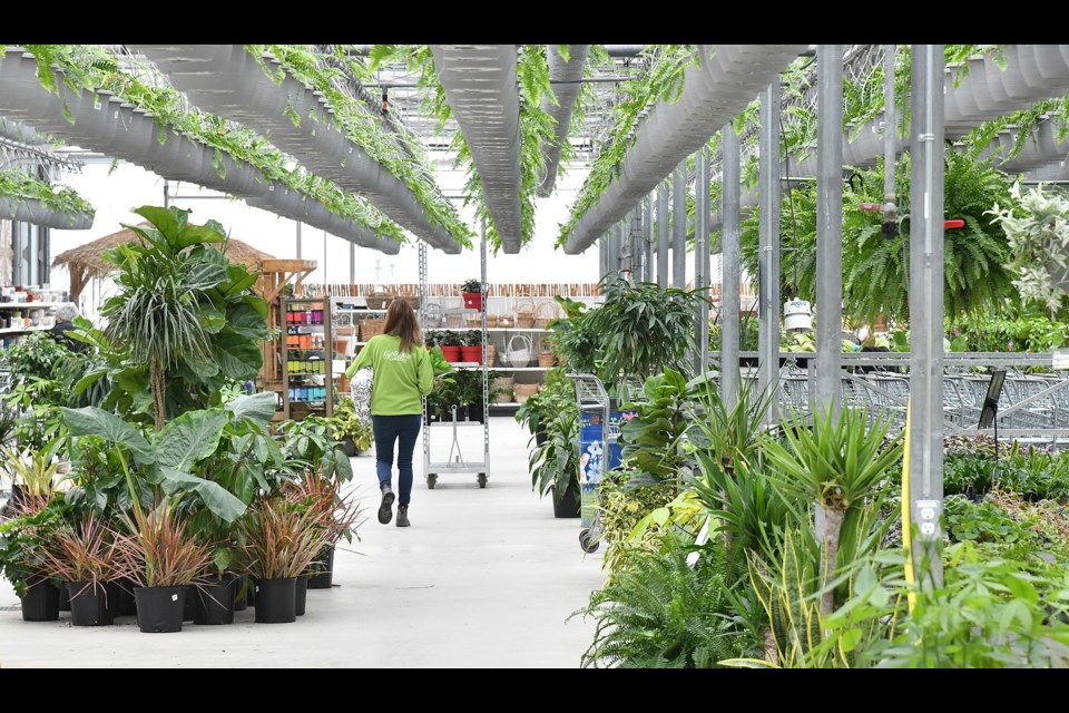 bradford greenhouse garden gallery