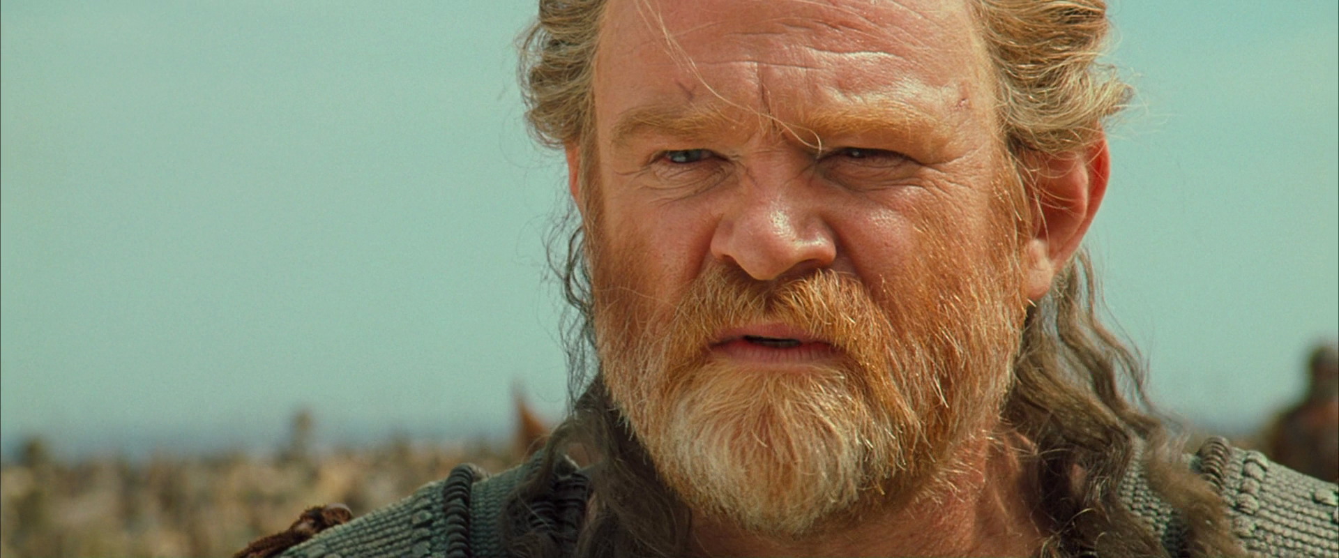 brendan gleeson troy