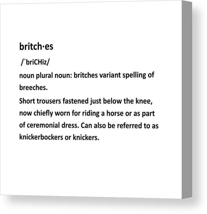 britches definition