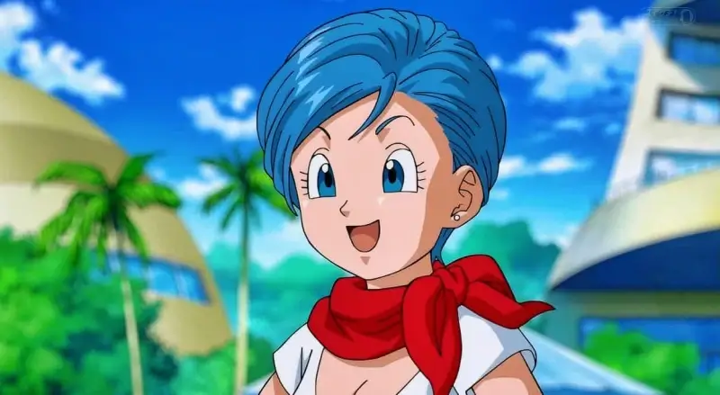 bulma db