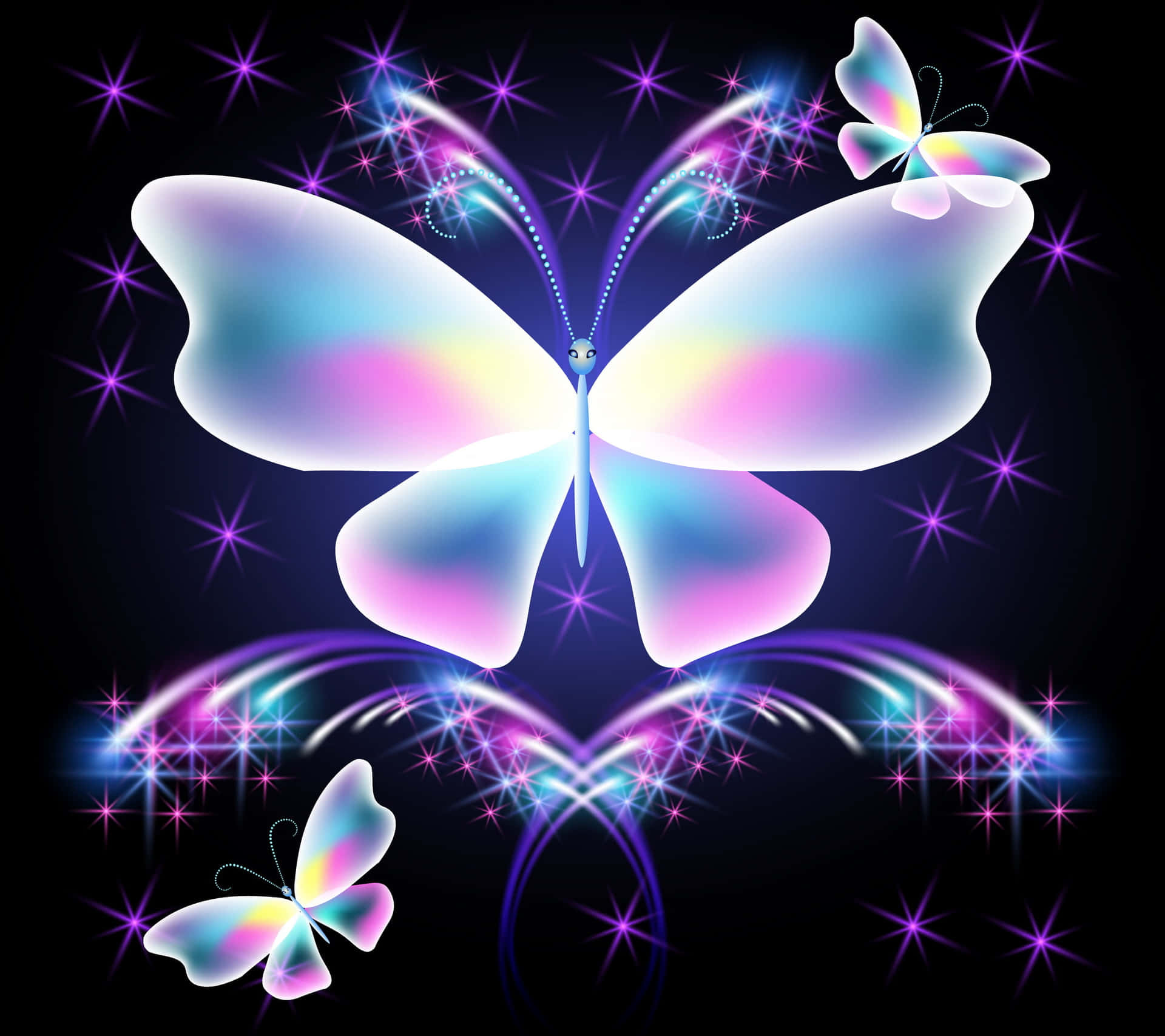 butterfly colorful wallpaper