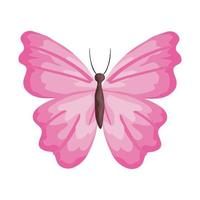 butterfly vector pink