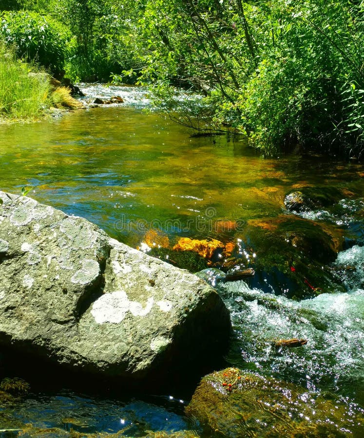 by the babbling brook in the deep woods