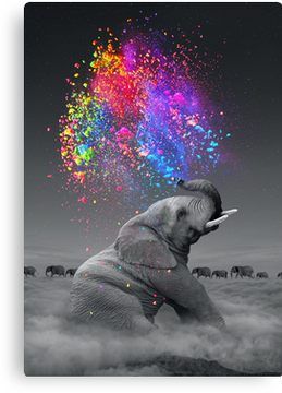 colorful elephant wallpaper