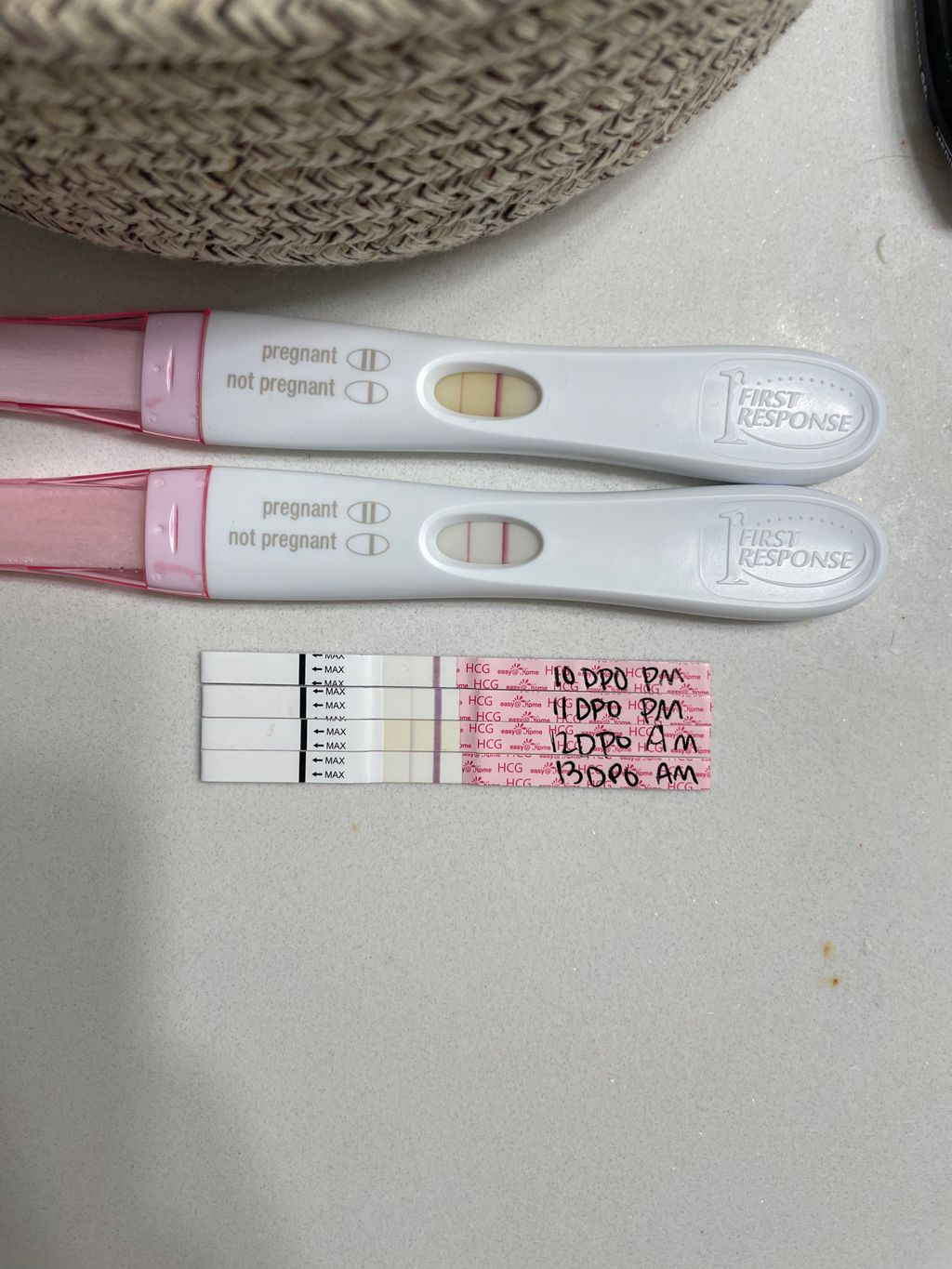 11 dpo