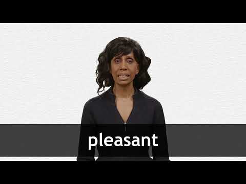 pleasant definition english