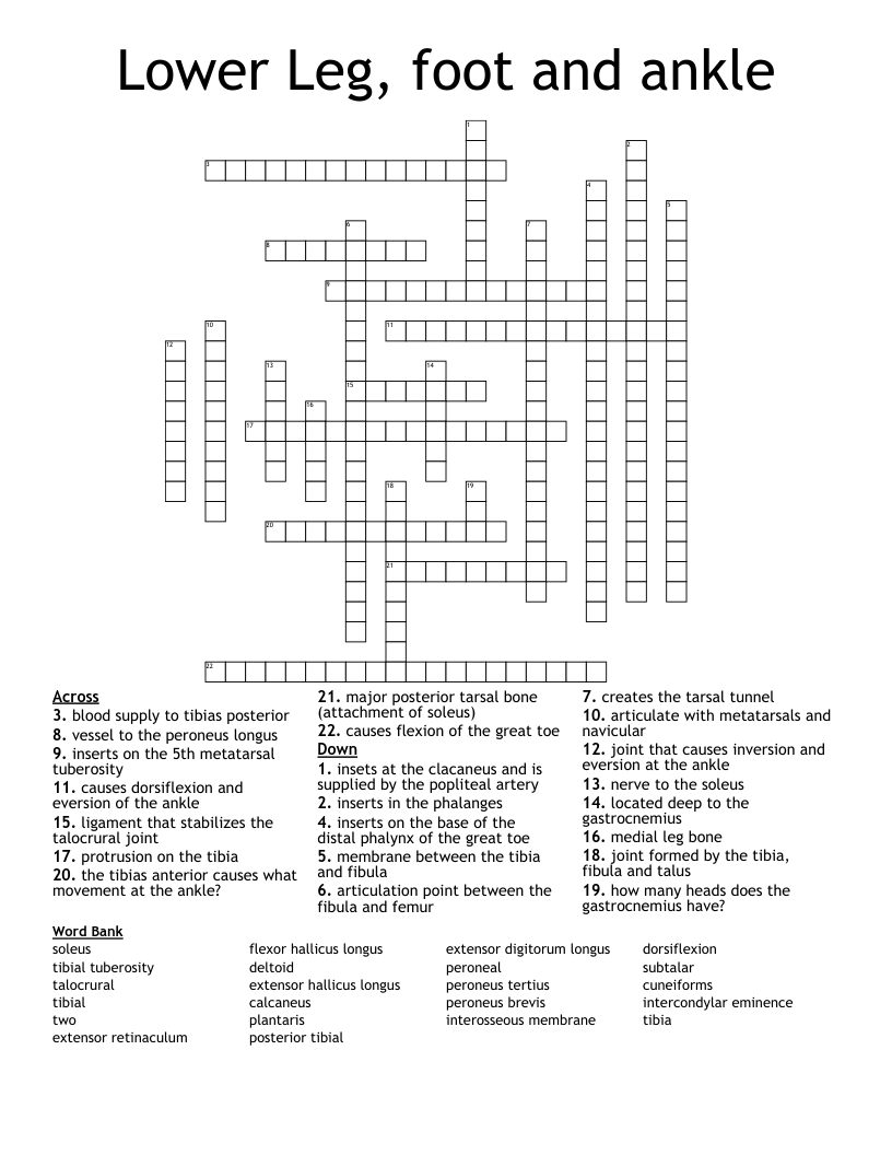 of the foot crossword