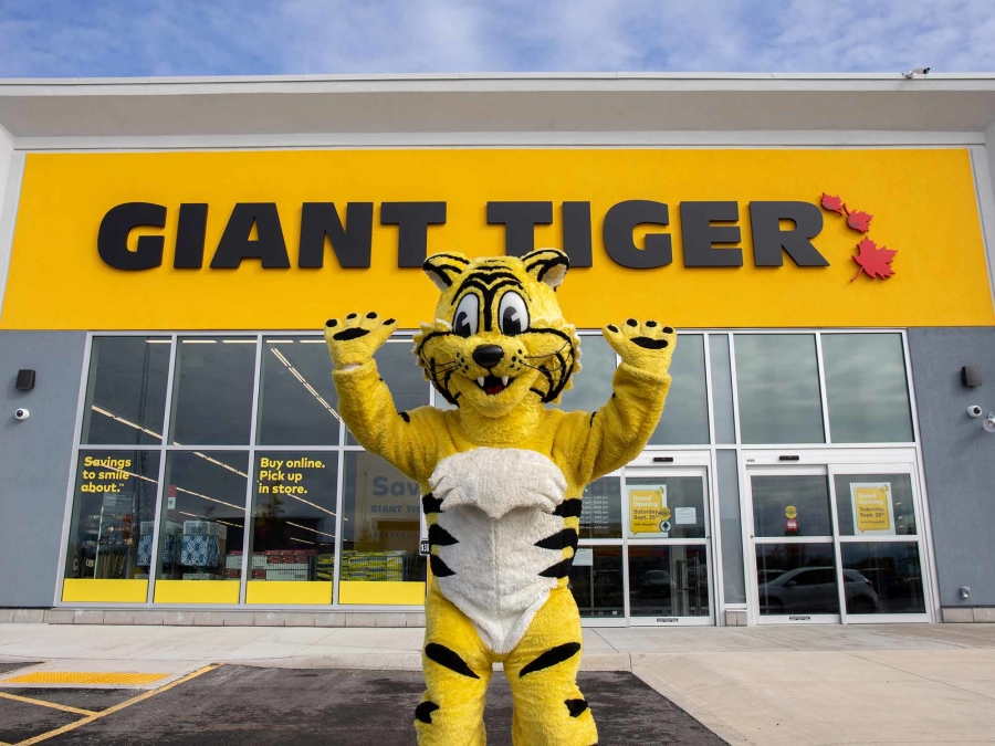 giant tiger edmonton