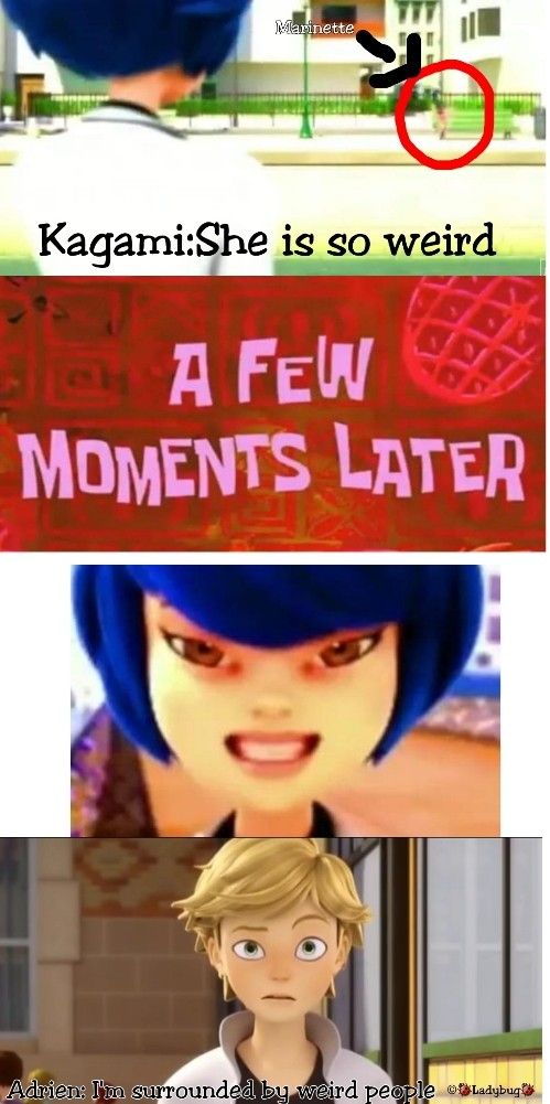 miraculous ladybug memes funny