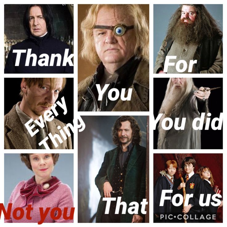 thank you harry potter meme