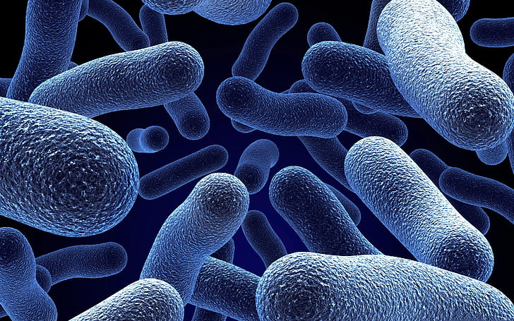 bacteria images hd