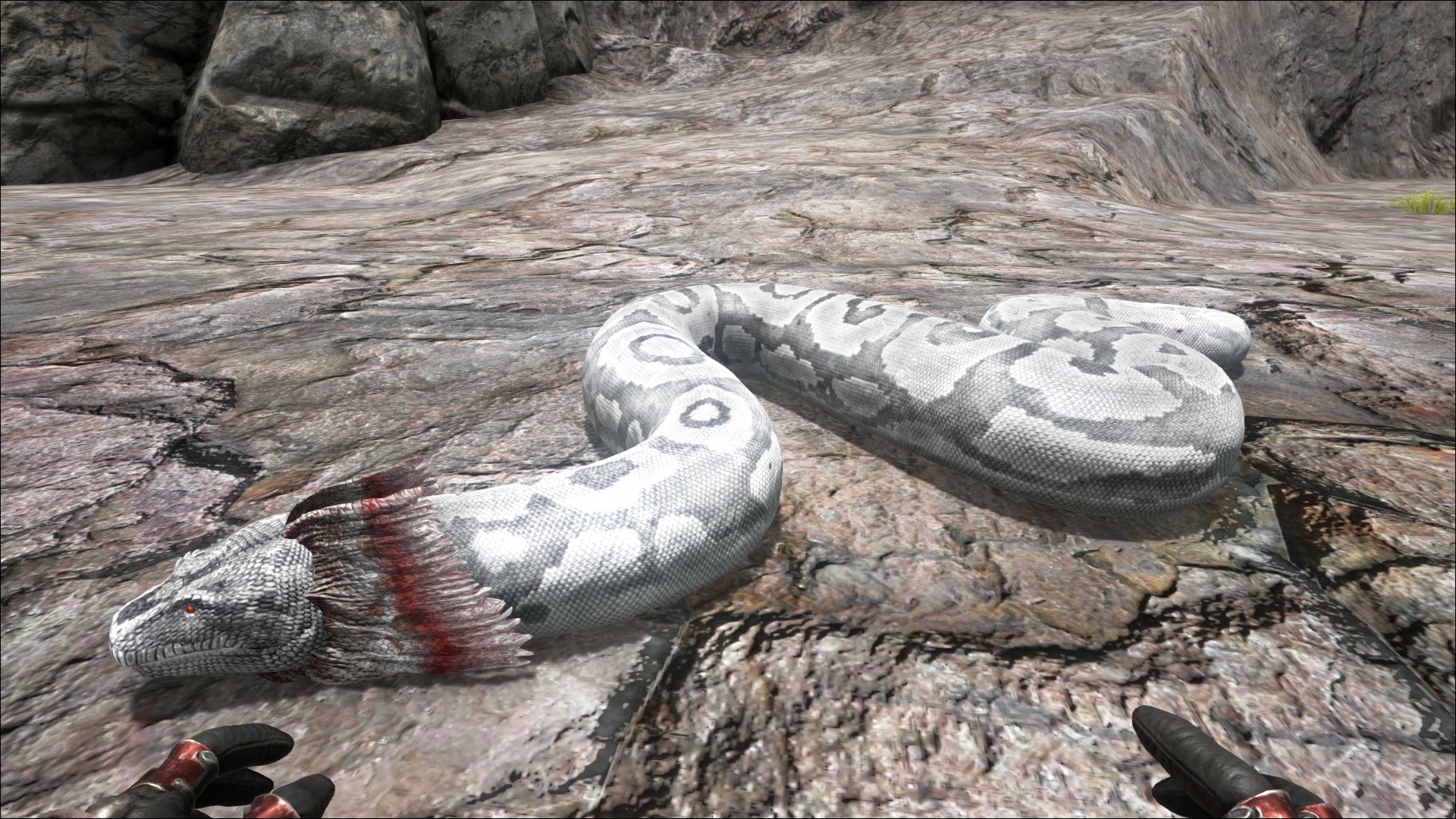 ark survival evolved titanoboa