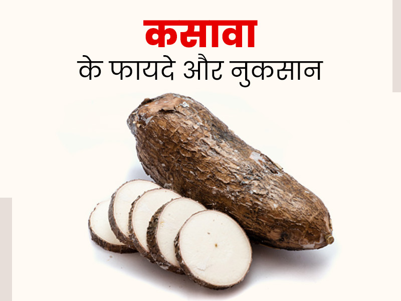 tapioca meaning in hindi