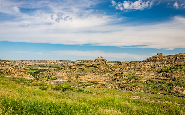 buffalo ridge williston nd