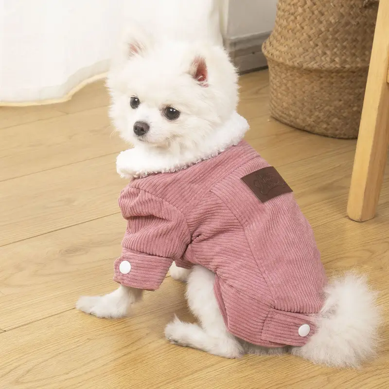 ropa para perritas invierno