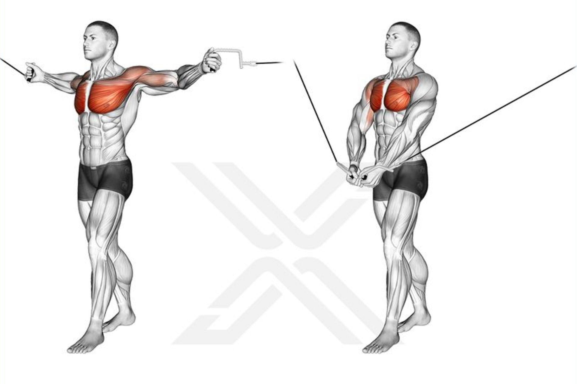 cable fly exercise