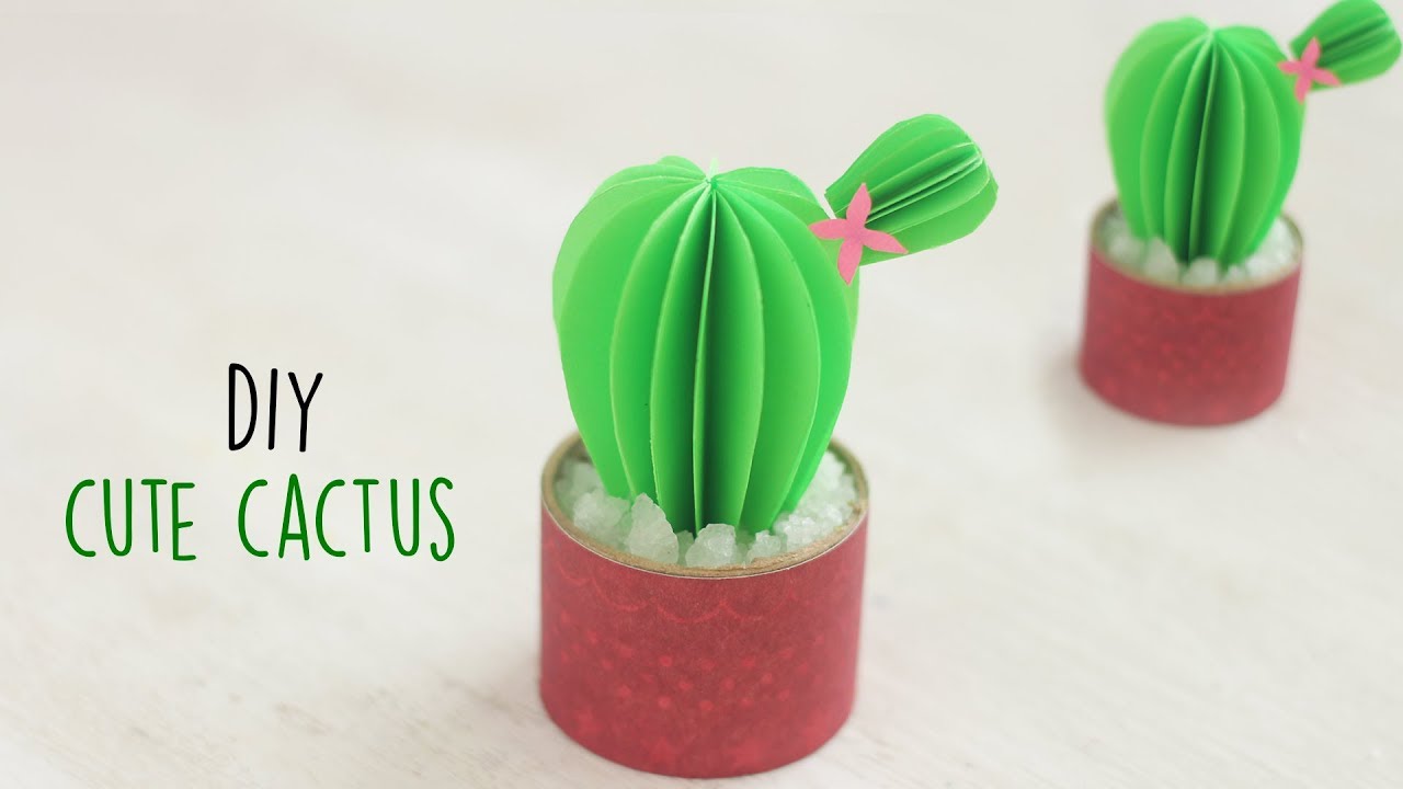 cactus diy ideas