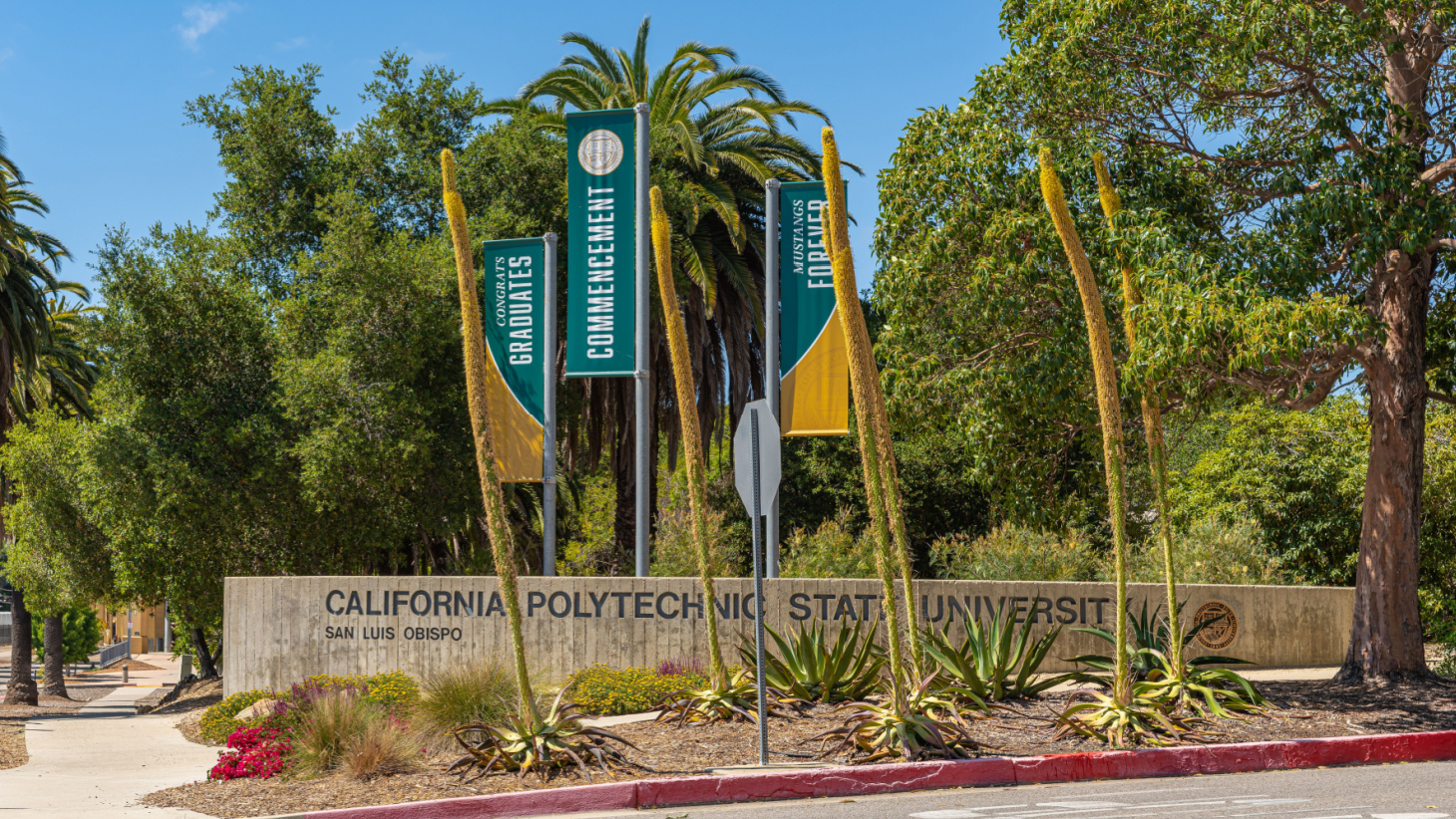 cal poly acceptance rate