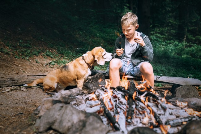 camping outaouais avec chien