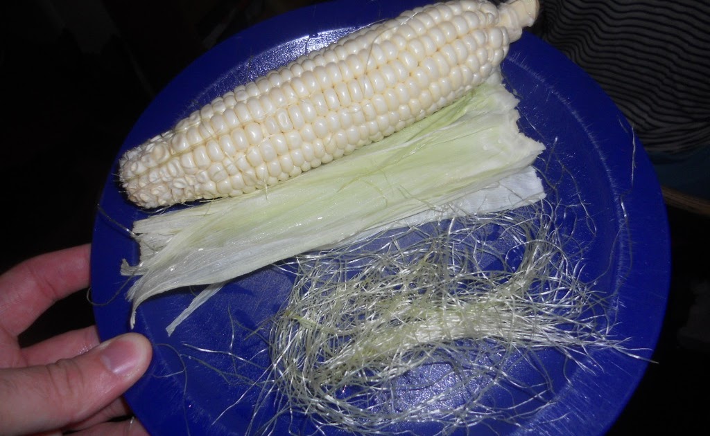 can guinea pigs have corn on the cob