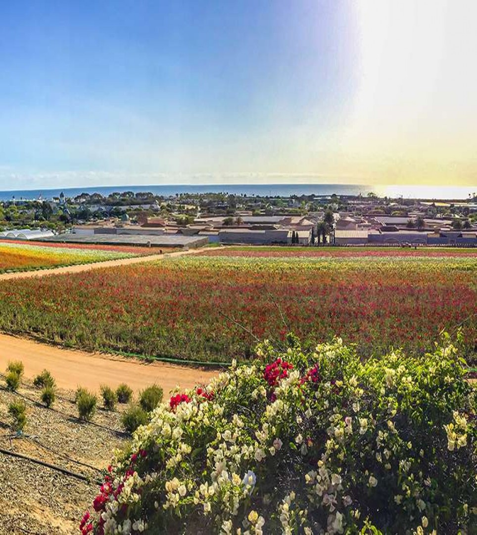 carlsbad ca weather